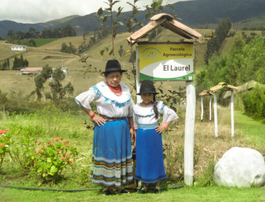 Donde comprar orgánico Donde comprar sano Busco agroecológico Busco orgánico.com